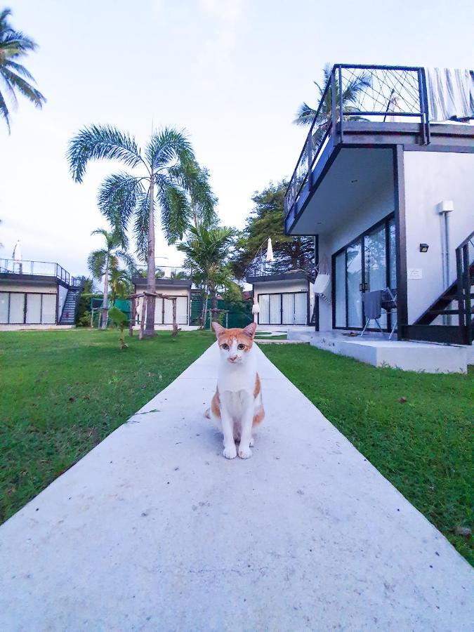 Hotel Coconut Wells Phuket à Chalong Extérieur photo